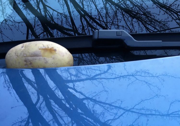 I Had A Potato On My Windshield for 28 Days And You Won’t Believe What Happened Next